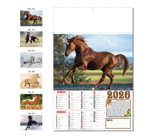 D030 CALENDARIO CAVALLI
