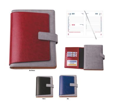 D192 TERMOVIRANTE AGENDA GIORNALIERA S/D ABB. 15X21