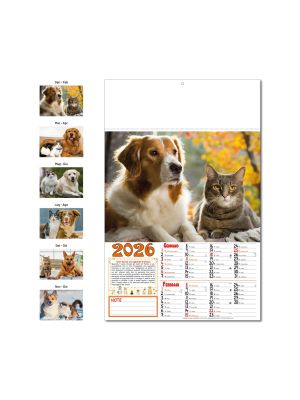 D018 CALENDARIO I NOSTRI AMICI