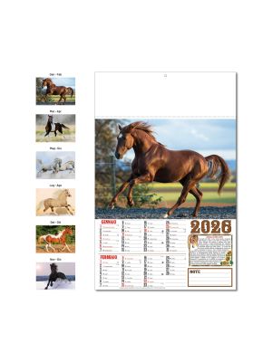 D030 CALENDARIO CAVALLI