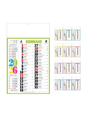 D089 OLANDESE COLOR
