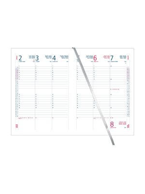 D095 INTERNO AGENDA SETTIMANALE 17X24