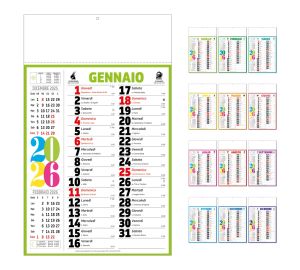 D089 OLANDESE COLOR
